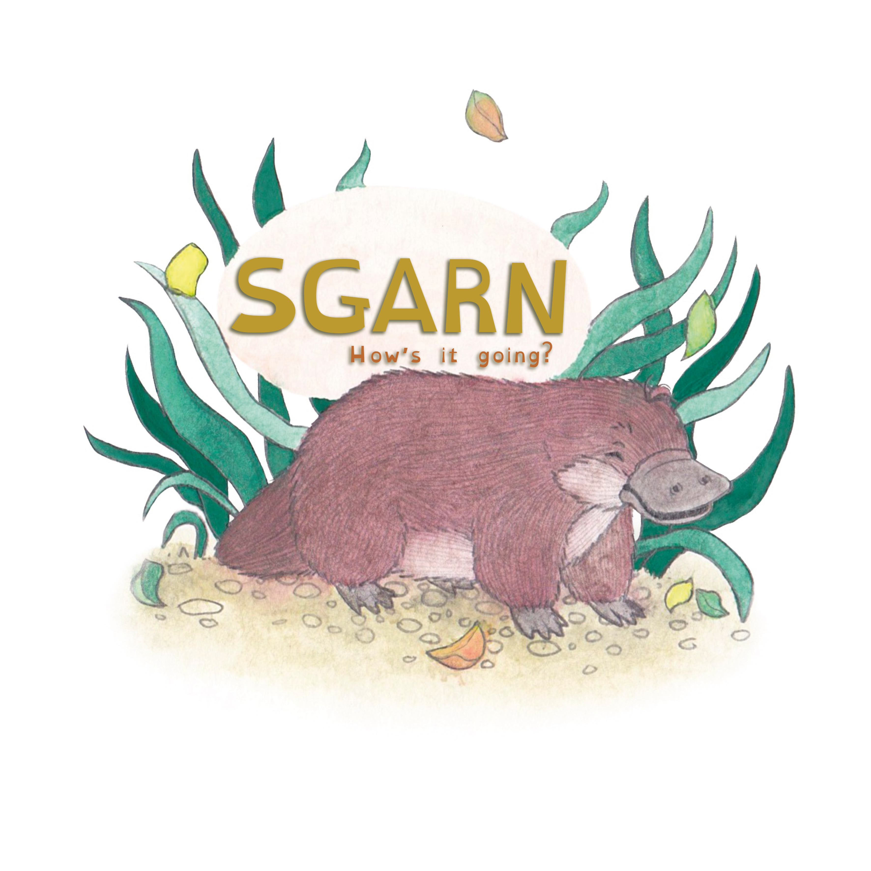 SGARN
